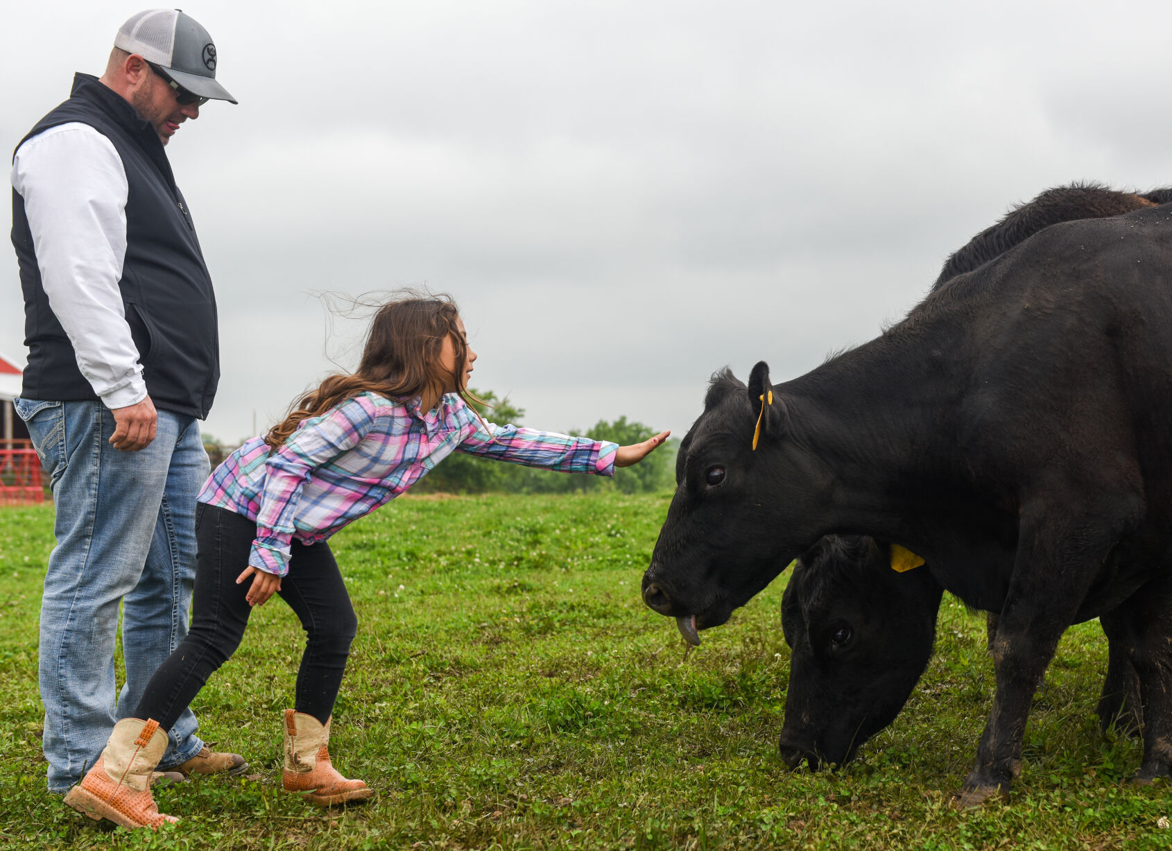 Fred Williams visits the cattle with his daughter
